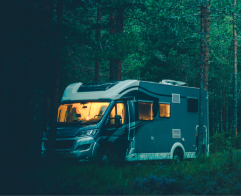 To bobiler i skogen med fulle vinduer